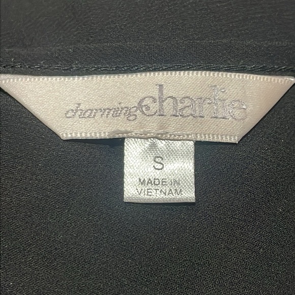 Charming Charlie Sheer Long Sleeves Top Sz S - Picture 4 of 4